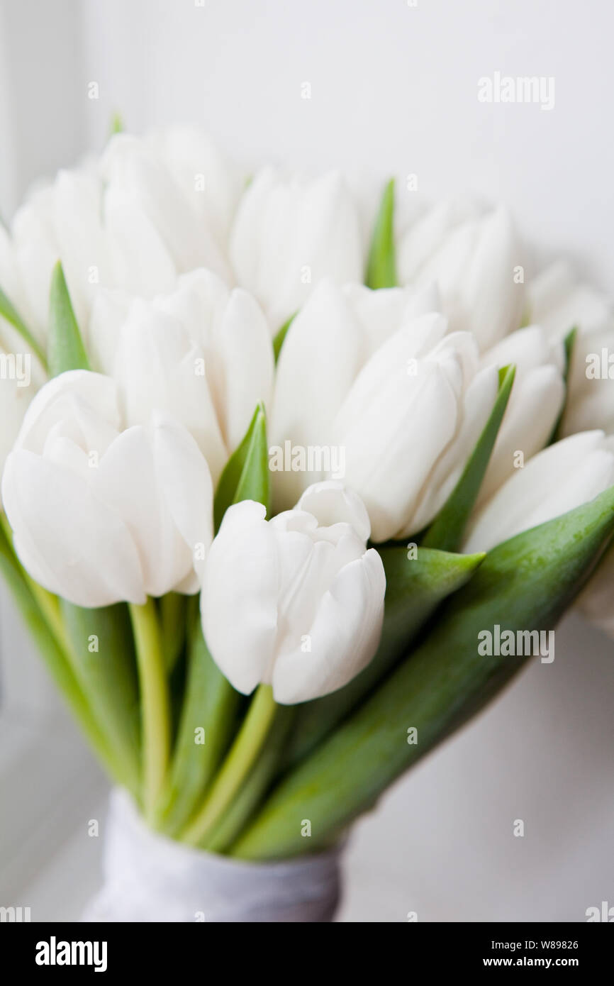 Bouquet de tulipes blanches Photo Stock - Alamy