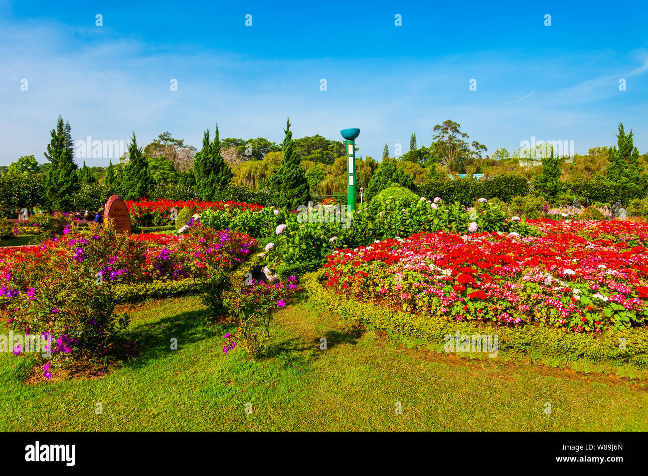 DALAT, VIETNAM - Mars 13, 2018 : Dalat Flower Garden Park à Da Lat ville au Vietnam Banque D'Images