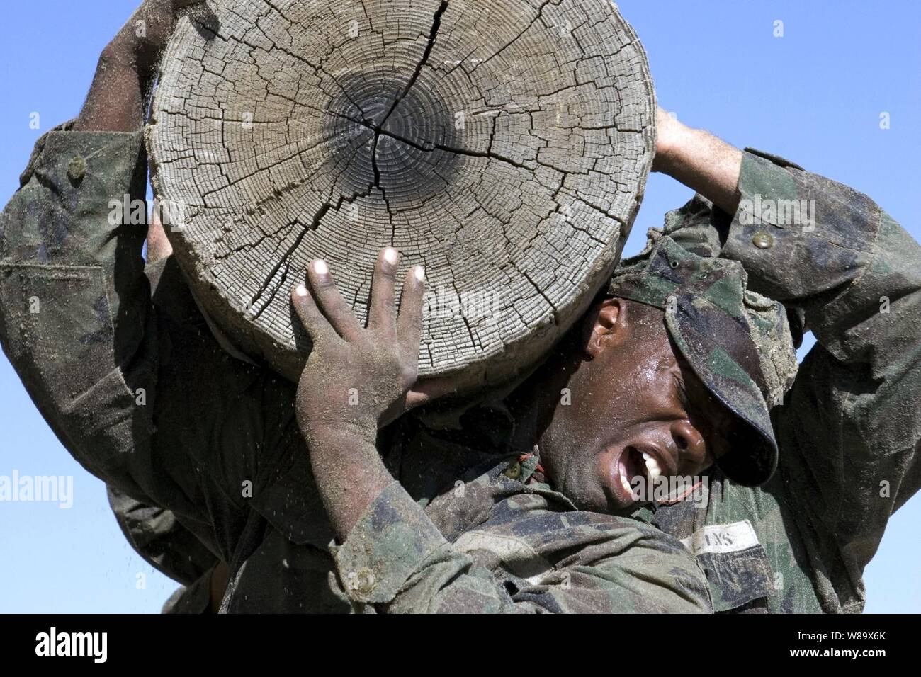 Les marins de la Marine américaine ascenseur un grand log surnommé Old misère pendant la connexion de l'entraînement physique à la Naval Special Warfare Center à La Naval Amphibious Base Coronado, en Californie le 3 février 2009. Les marins sont en cours de démolition sous-marine de base/Sceau de la formation. Banque D'Images