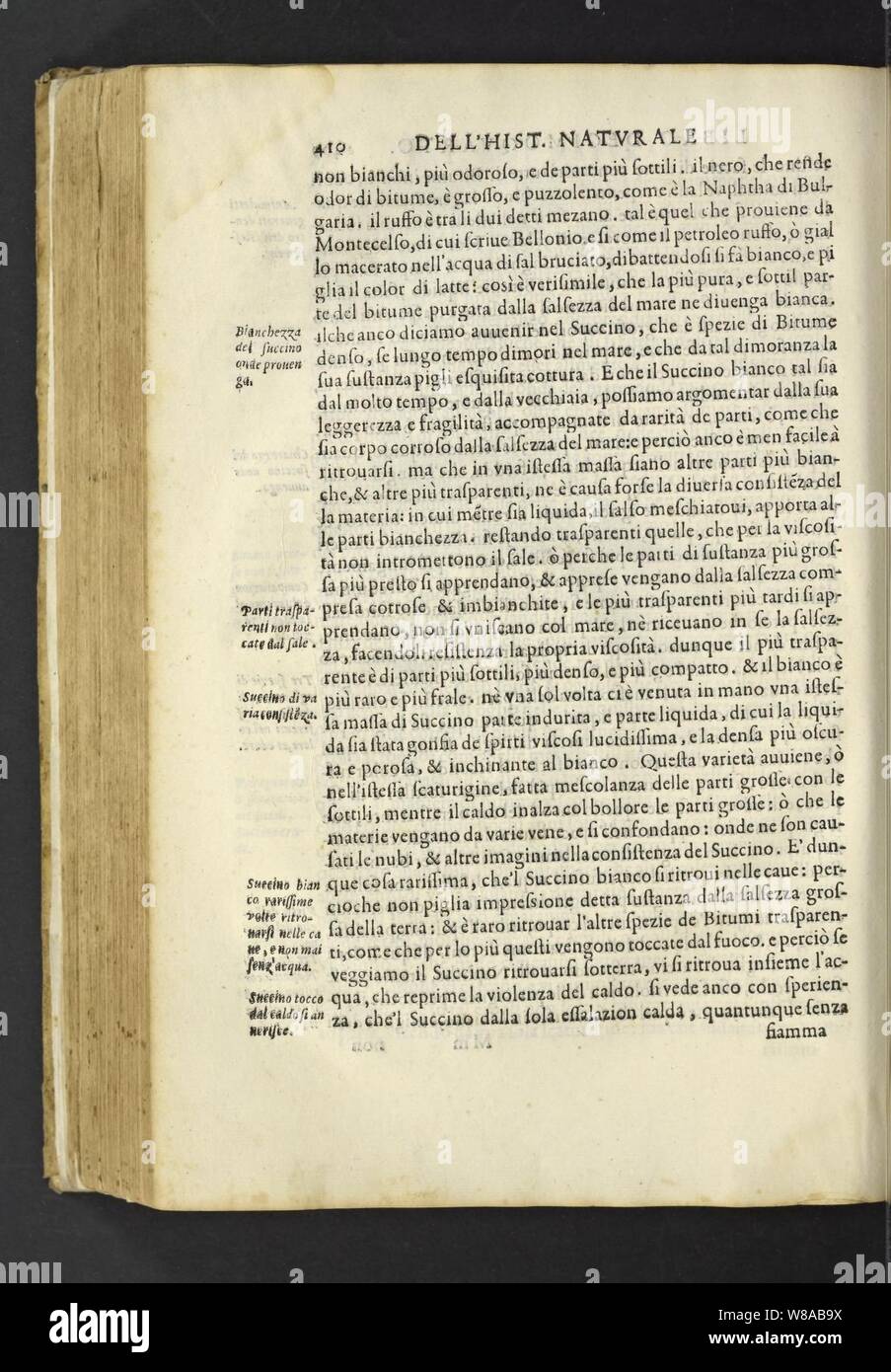 Dell'historia natvrale di Ferrante Imperato napoletano libri XXVIII Banque D'Images