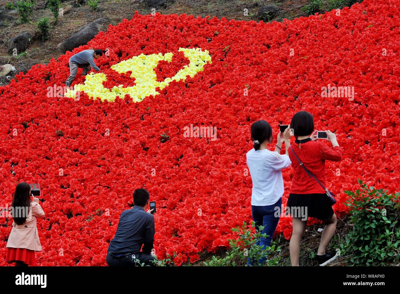 Les touristes chinois de prendre des photos de fleurs sur l'affichage dans la forme du drapeau du Parti communiste chinois (PCC) pour célébrer le 95ème anniversaire Banque D'Images