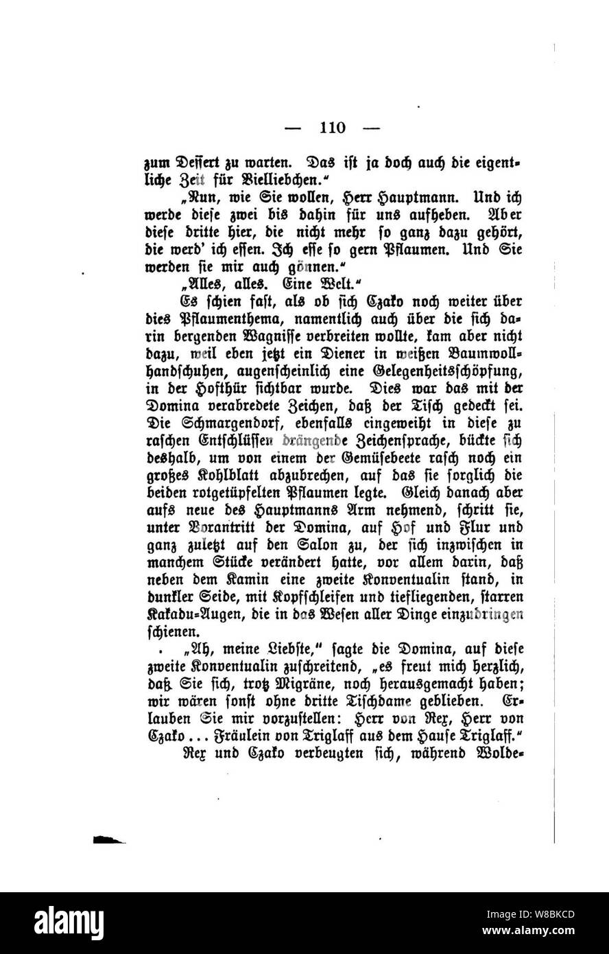 Der Stechlin (Fontane) 110. Banque D'Images