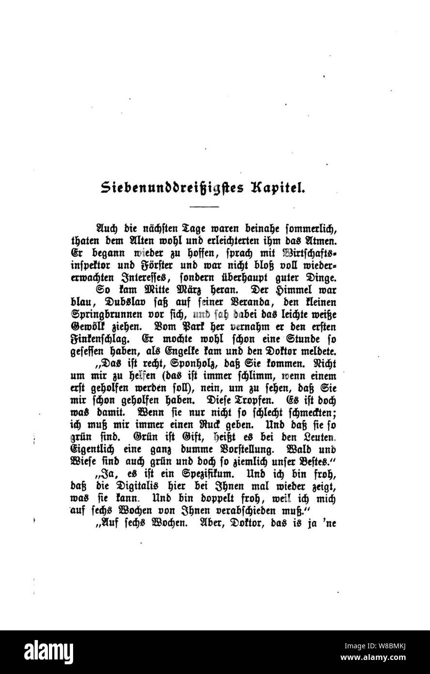 Der Stechlin (Fontane) 421. Banque D'Images