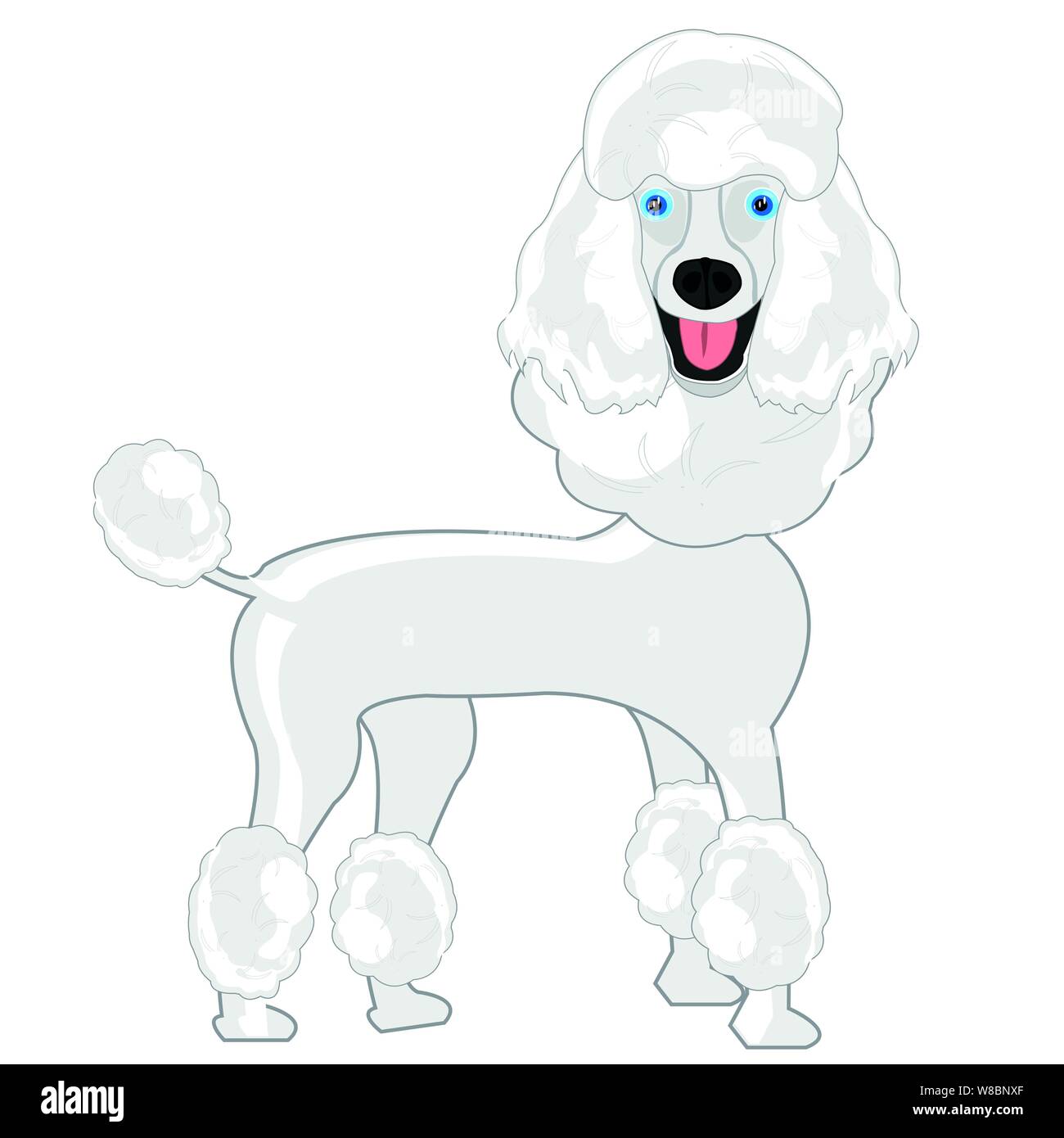 Vector illustration de la caricature du chien du genre poodle Illustration de Vecteur