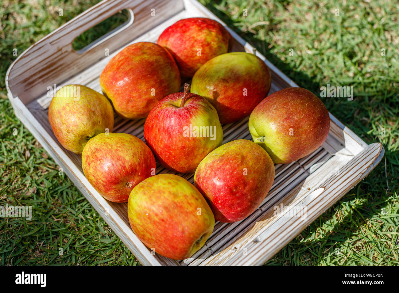 Petites pommes sur un plateau en bois blanc, produits locaux, Bali, Indonésie. Banque D'Images