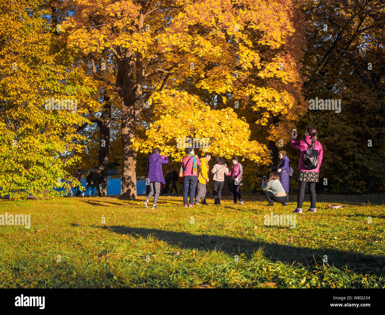 Moscou, Russie - 11 octobre 2018 : les touristes chinois automne promenades parc. Les gens de prendre des photos d'Asie sur l'arrière-plan d'un magnifique érable jaunies dans Banque D'Images