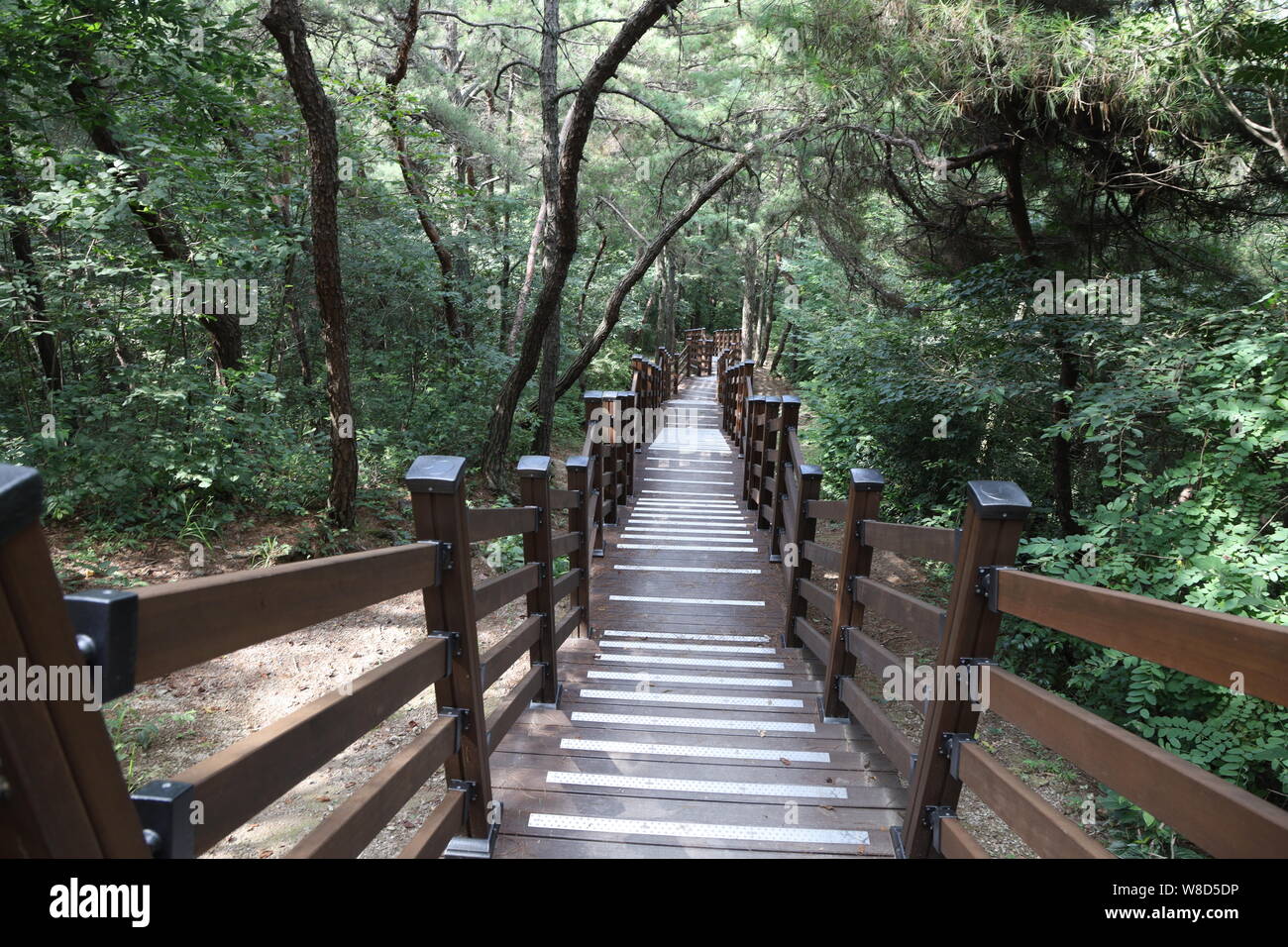Gongwon Songjong Prirodni park-v zapadni casti metropole Gwangju. Soucasti upravene chodnicky jsou mista, odpocinku venkovni posilovaci k, un stroje vy Banque D'Images