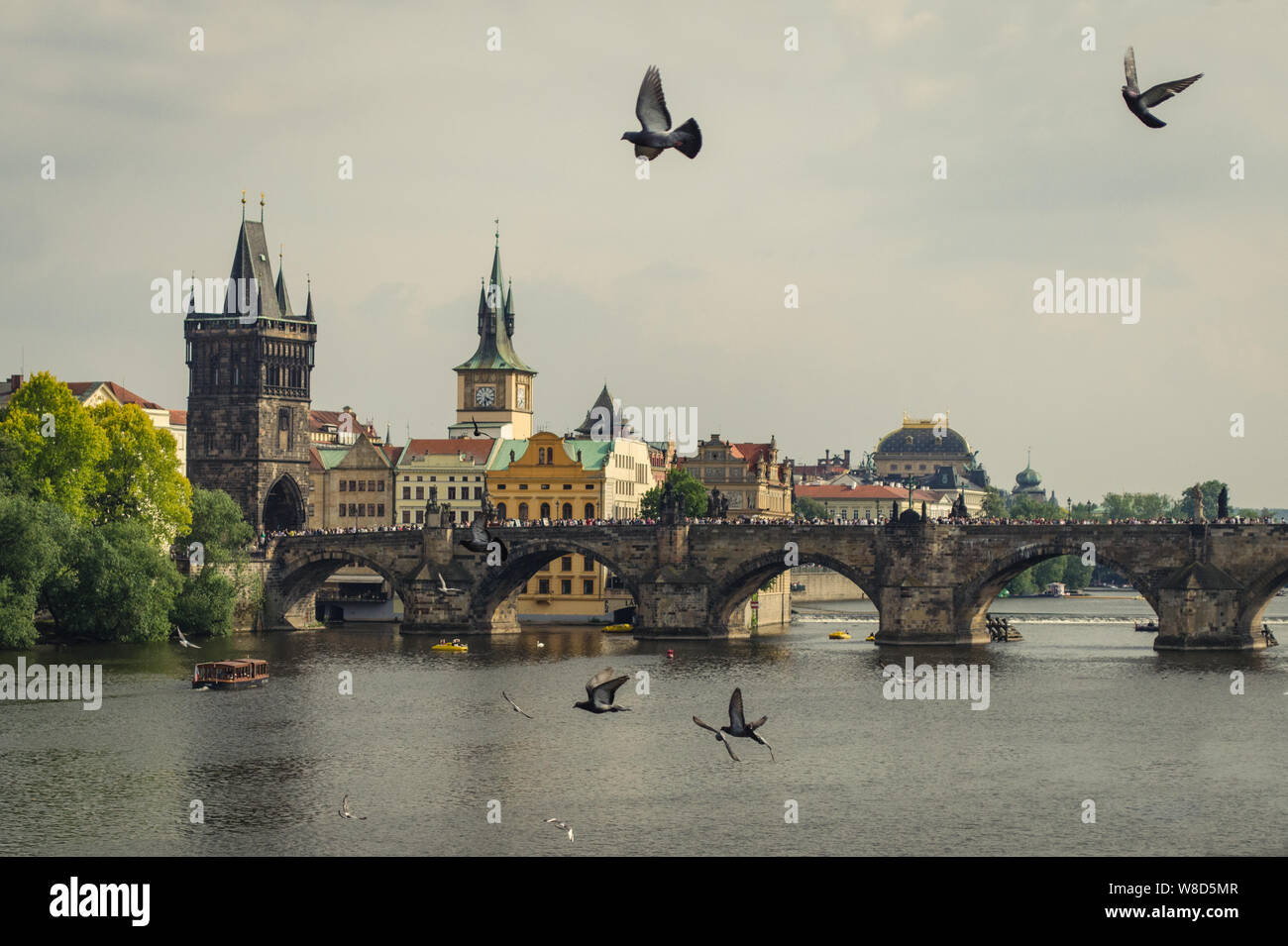 Vue panoramique du célèbre Pont Charles (Karluv Most) et la vieille ville à Prague, en République tchèque. Vue spectaculaire sur le pont sur la rivière Vltava avec des oiseaux Banque D'Images