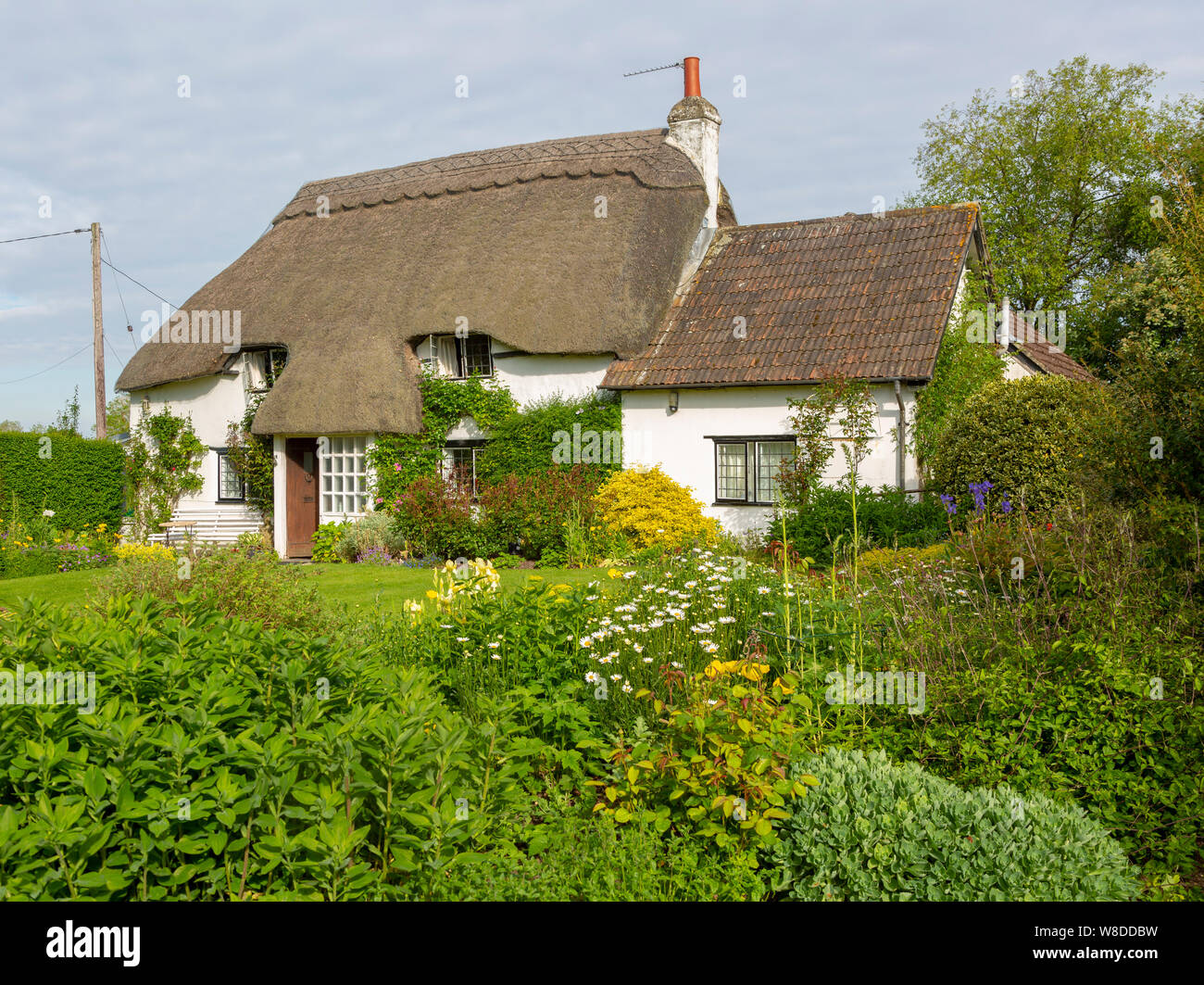 Joli chalet chaume et jardin, Vega, Wiltshire, England, UK Banque D'Images