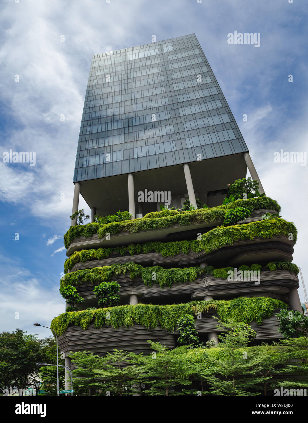 Couvert végétal, verdure, qui dégage des gratte-ciel de Singapour. Banque D'Images