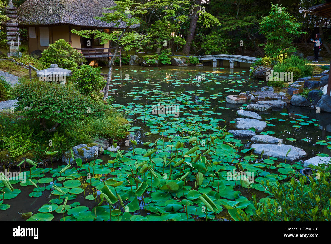 Le Japon, l'île de Honshu, région du Kansai, Kyoto, hakusasonso jardin Banque D'Images