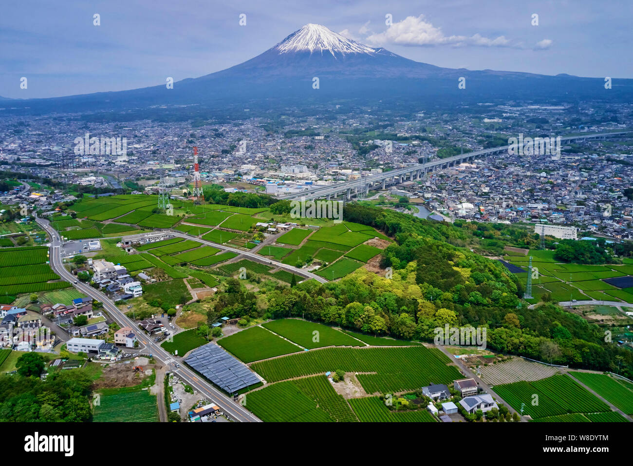 Le Japon, Honshu, Shizuoka, champs de thé et le Mont Fuji Banque D'Images