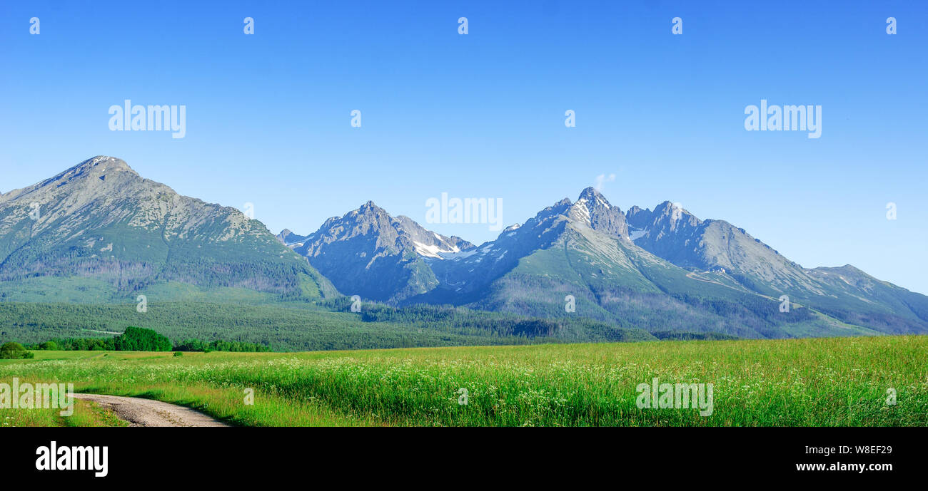 Hautes Tatras, en Slovaquie. Paysage pittoresque d'une chaîne de montagnes un jour d'été. Banque D'Images