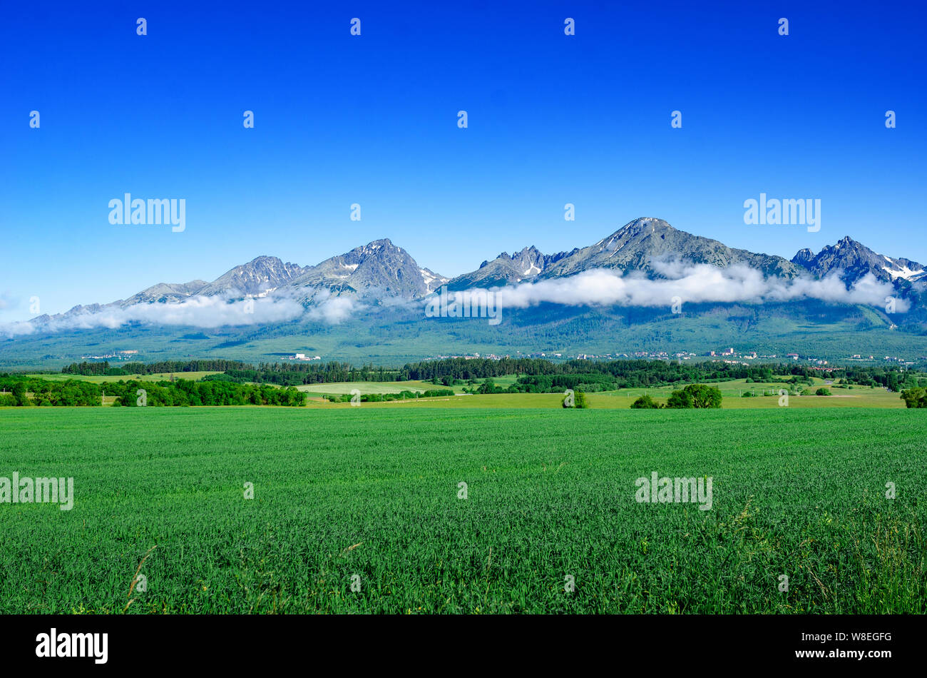 Hautes Tatras, en Slovaquie. Paysage pittoresque d'une chaîne de montagnes un jour d'été. Banque D'Images