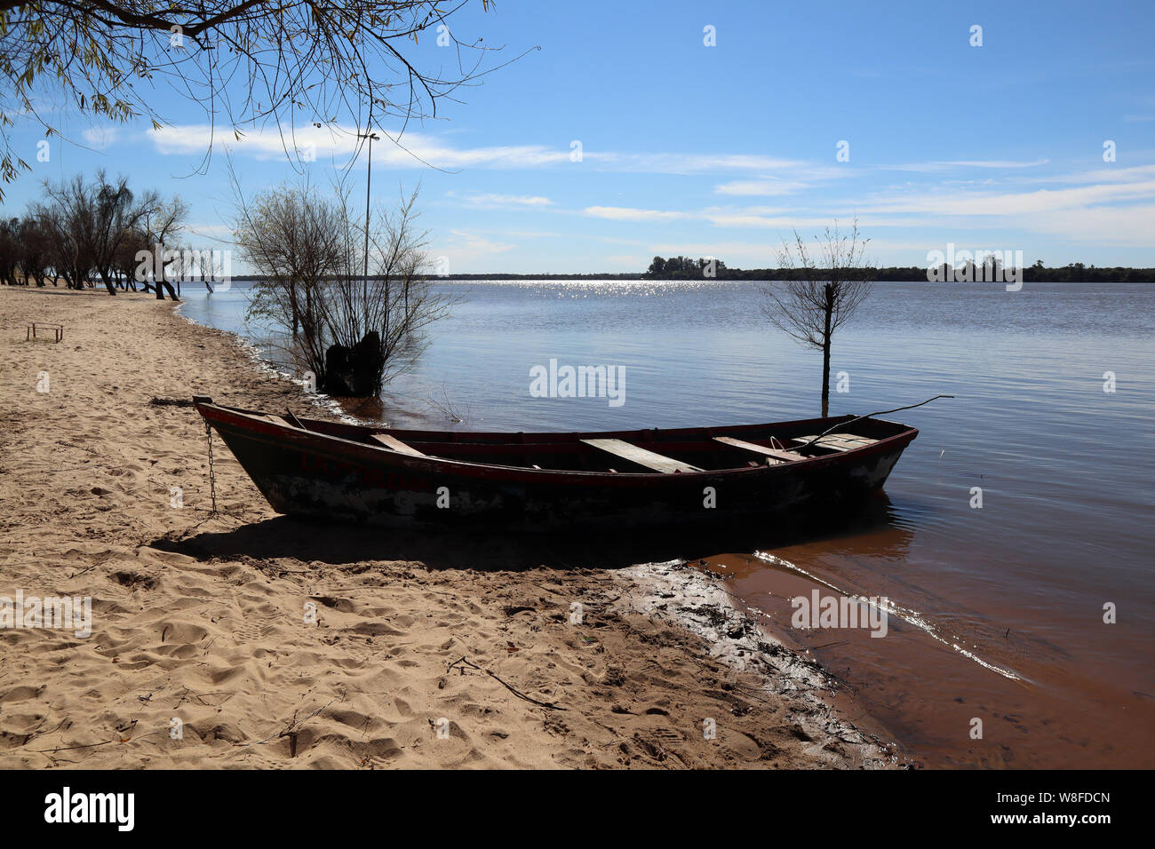 D'ENTRE RÍOS, Vue du Parc National "El Palmar, réserver de palmiers et d'espèces d'origine à 400 kilomètres au nord de Buenos Aires, Argentine Banque D'Images