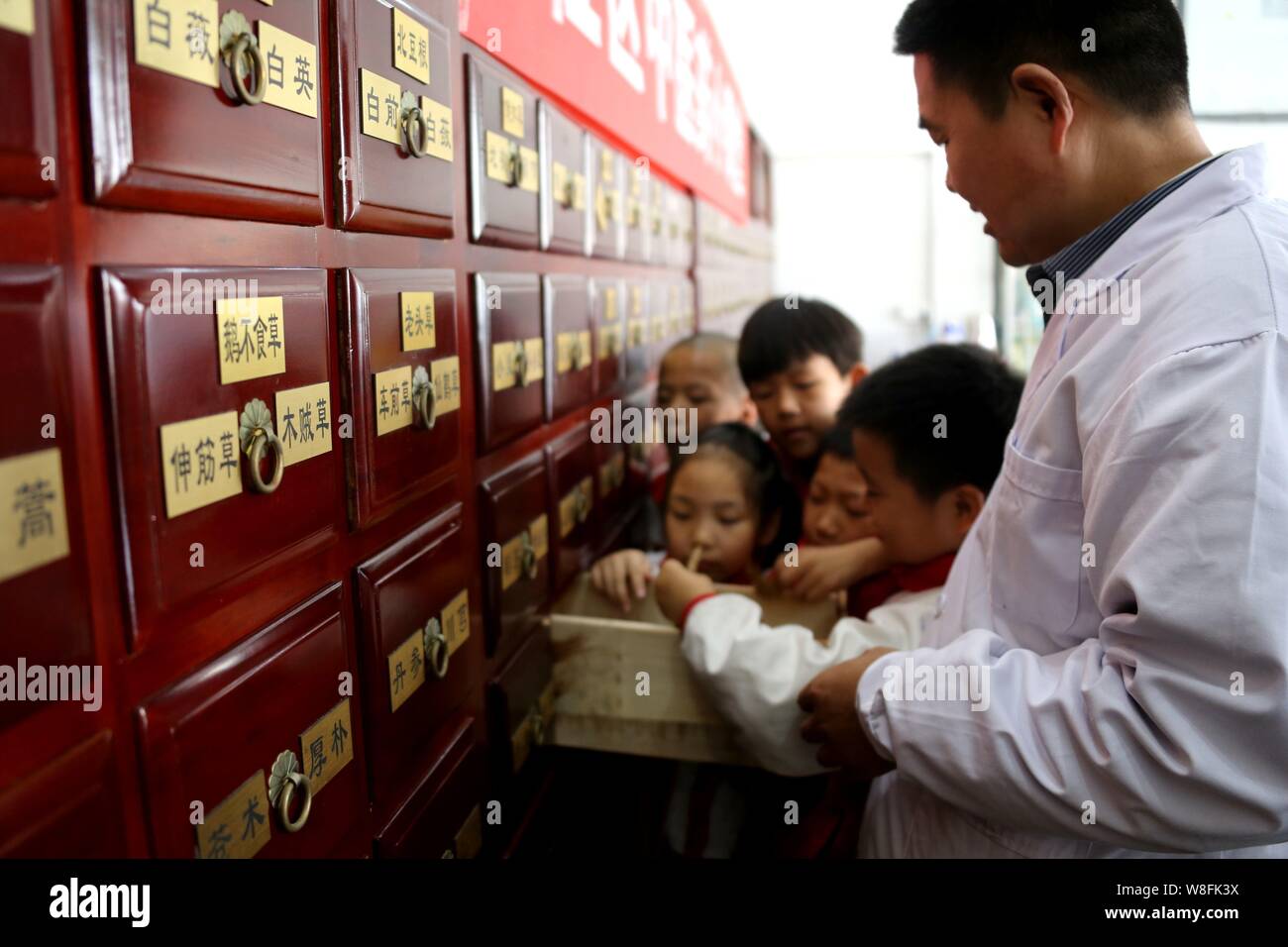 --FILE--un pharmacien enseigne le chinois enfants à reconnaître les ingrédients de la médecine traditionnelle chinoise à Hefei, Chine de l'est l'Anhui province, 21 Octobre Banque D'Images