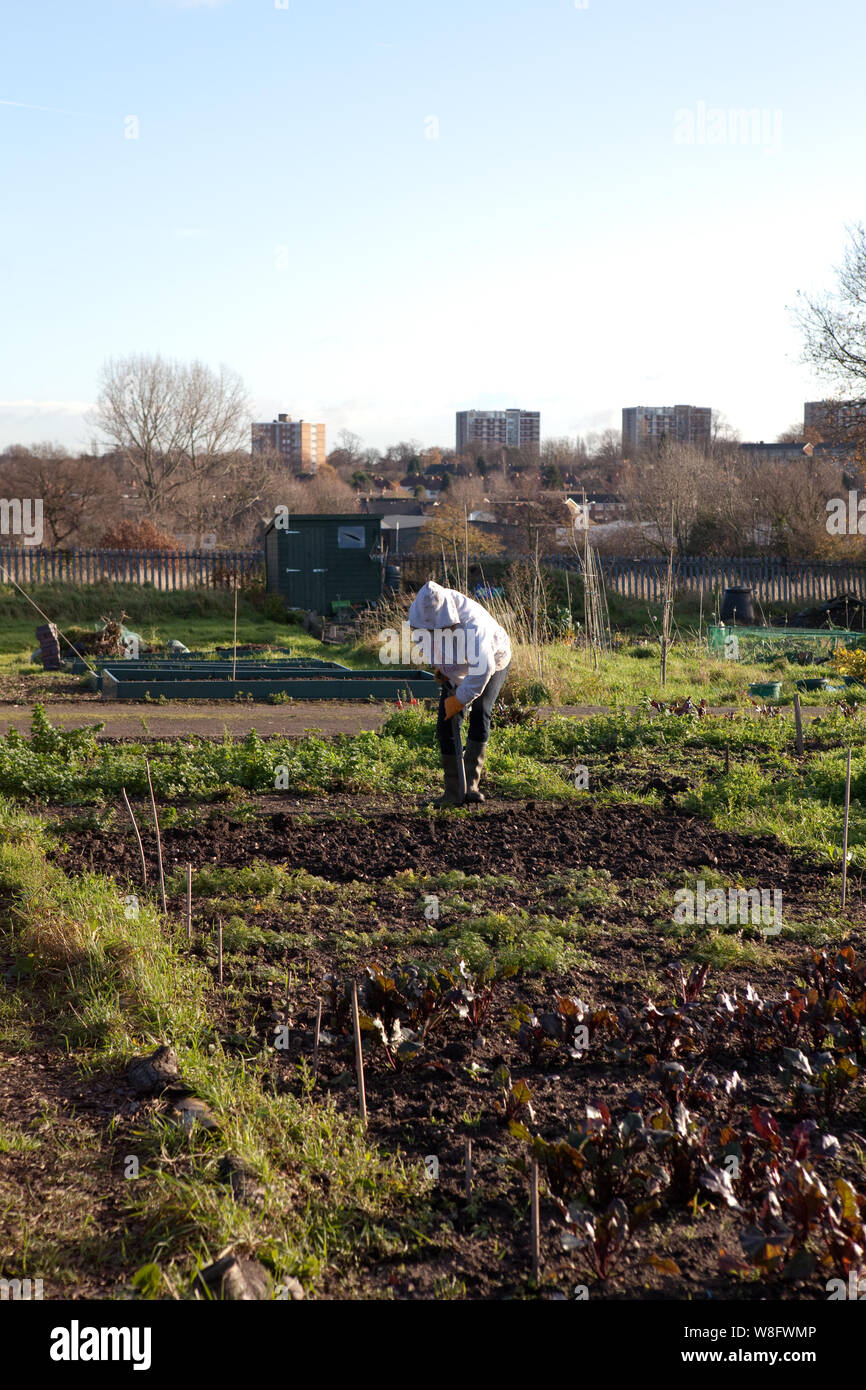 Allotissement sur jardinage Banque D'Images