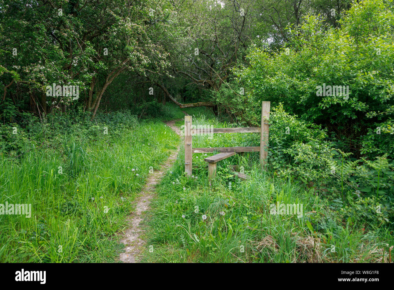 Délabrés, stile en bois cassée le long de la voie d'essai de Nursling, sentier de la vallée d'essai, Redbridge, Southampton, Hampshire, dans le sud de l'Angleterre, Royaume-Uni Banque D'Images