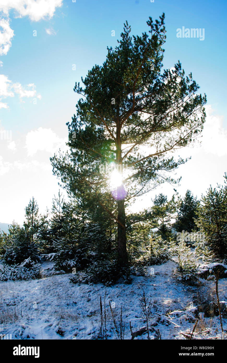 Montagne sur une station de ski en Bulgarie comme Borovetts le soleil se lève au loin. Banque D'Images