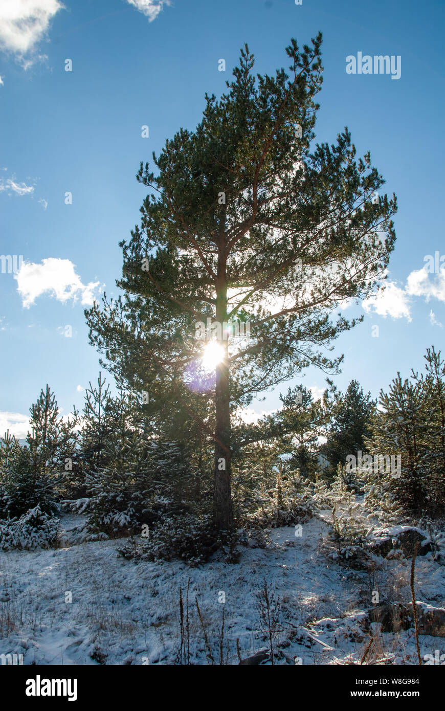 Montagne sur une station de ski en Bulgarie comme Borovetts le soleil se lève au loin. Banque D'Images