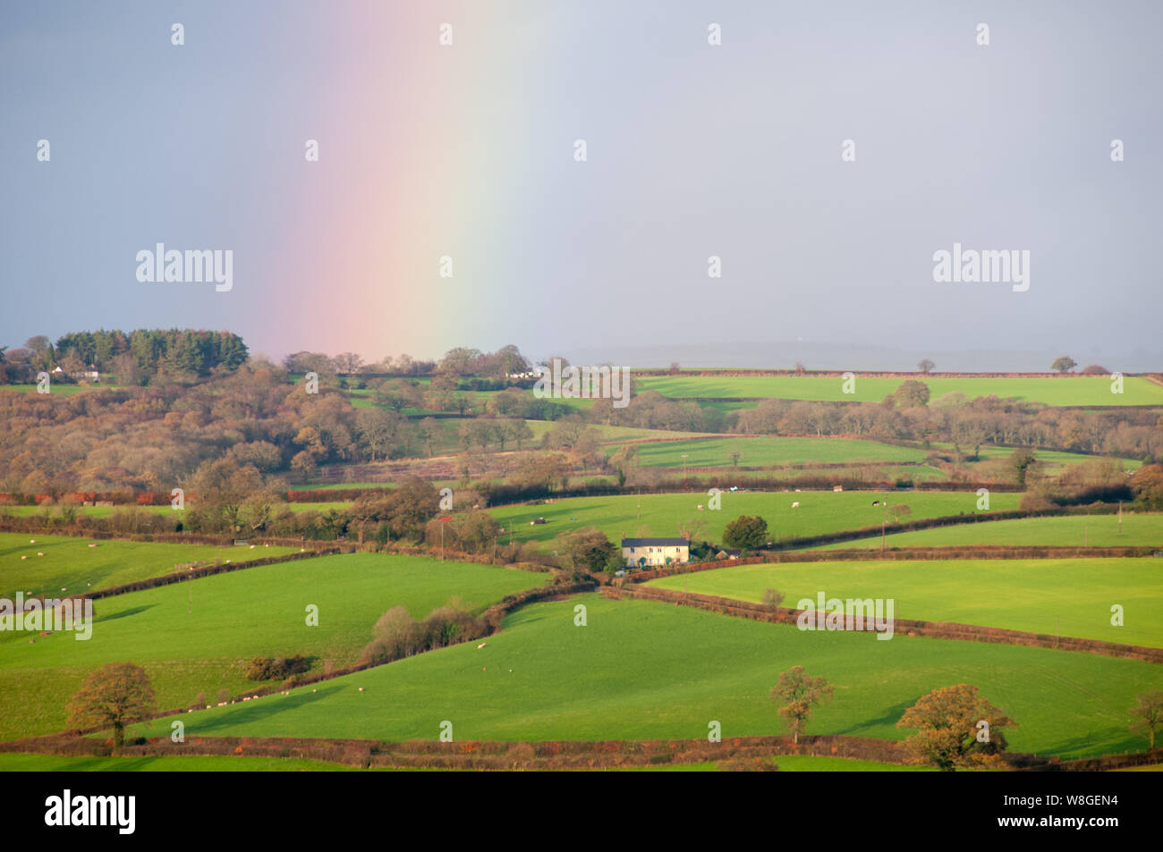 La campagne est allumé sur ce beau matin de dewey à Warwick en Angleterre. La pluie a cessé et un arc-en-ciel se remplit le ciel sous les rayons du soleil vers le bas. Banque D'Images