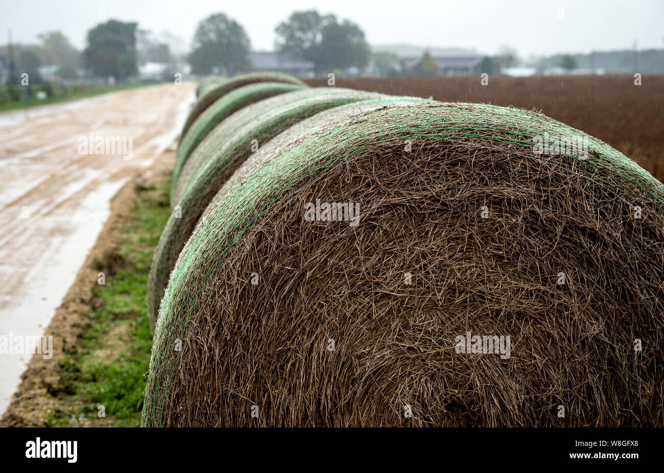 Balles de foin le jour de pluie Banque de photographies et d’images à haute résolution Alamy