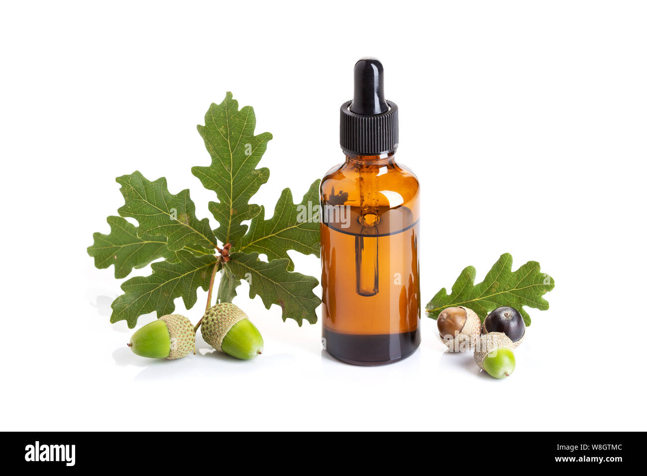 L'huile essentielle d'Acorn isolé sur fond blanc. Acorn huile sur le flacon en verre avec compte-gouttes Banque D'Images