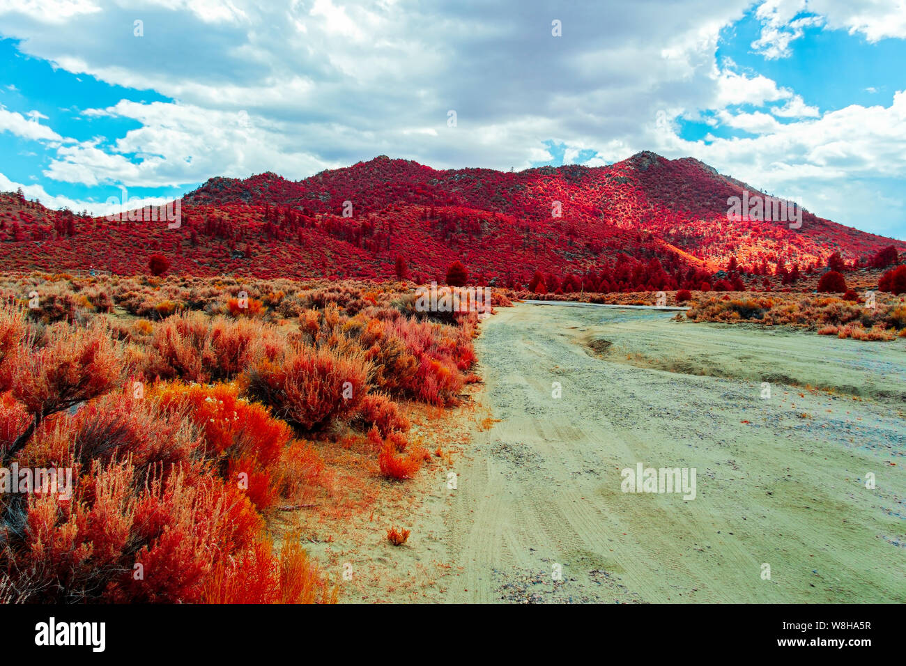 Route de terre menant à l'automne les champs de couleur rougeâtre en direction de montagne sous un ciel bleu avec des nuages blancs. Banque D'Images