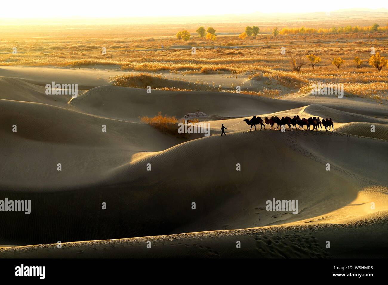 taklamakan-desert-banque-de-photographies-et-d-images-haute