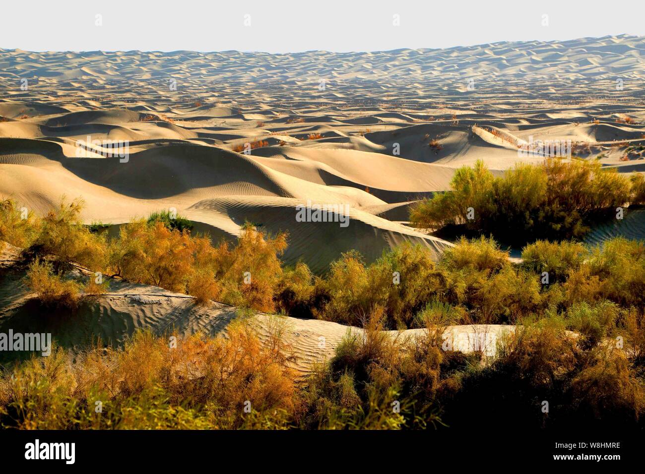 bassin-du-tarim-banque-de-photographies-et-d-images-haute-r-solution