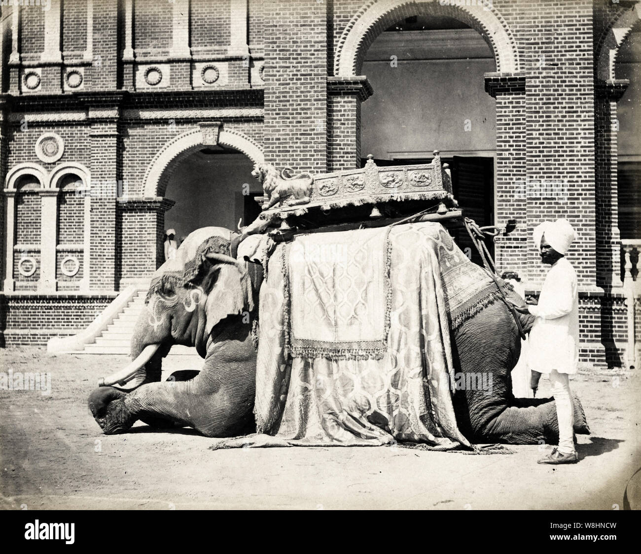 19e siècle - photographie vintage Éléphant d'état de Baroda, en Inde Banque D'Images