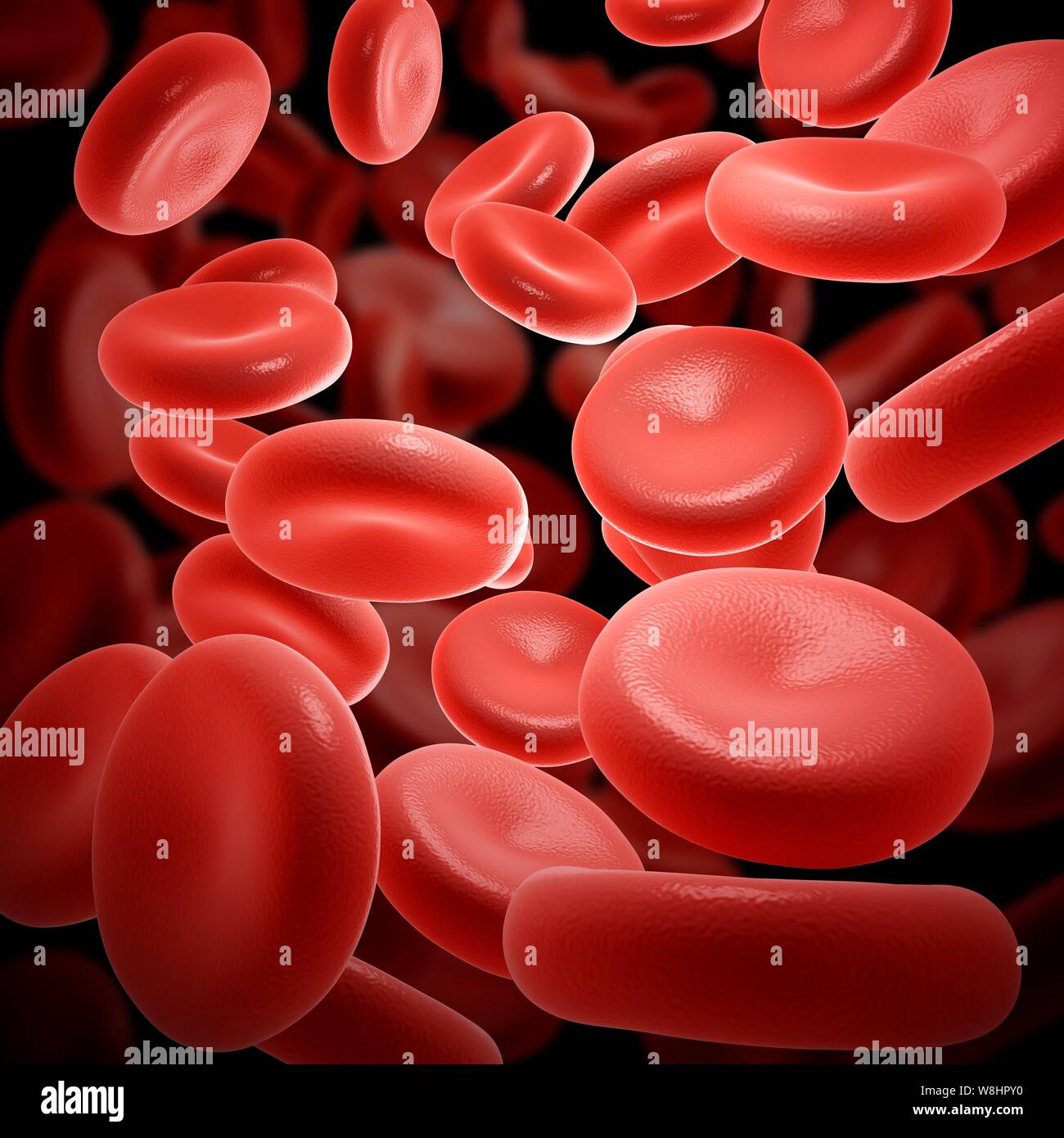 Illustration des globules rouges. Banque D'Images