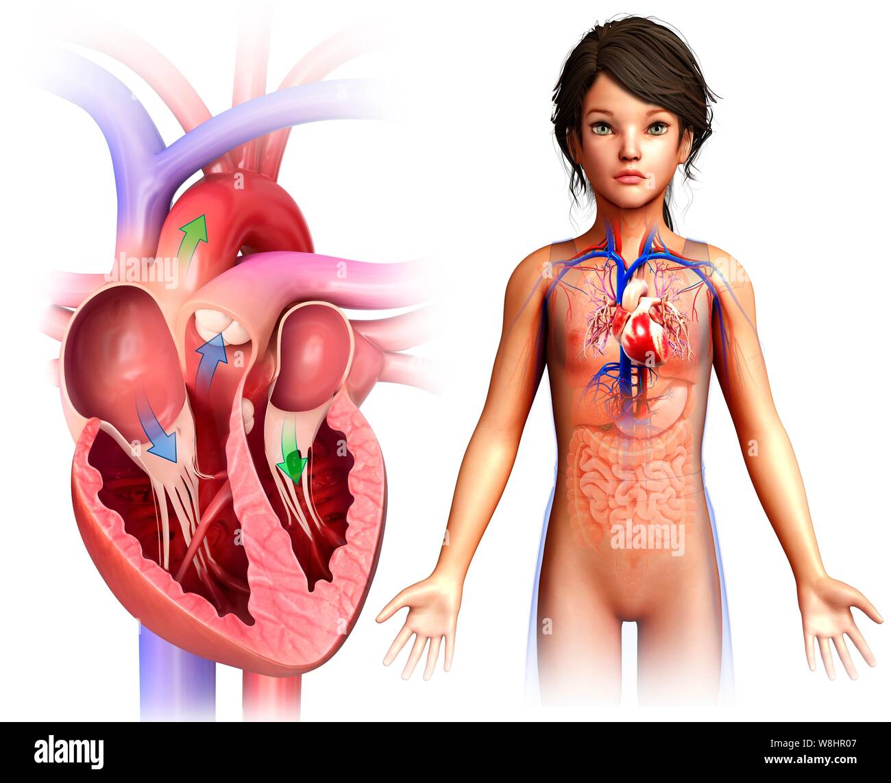 Illustration d'un cœur de l'enfant chambres. Banque D'Images