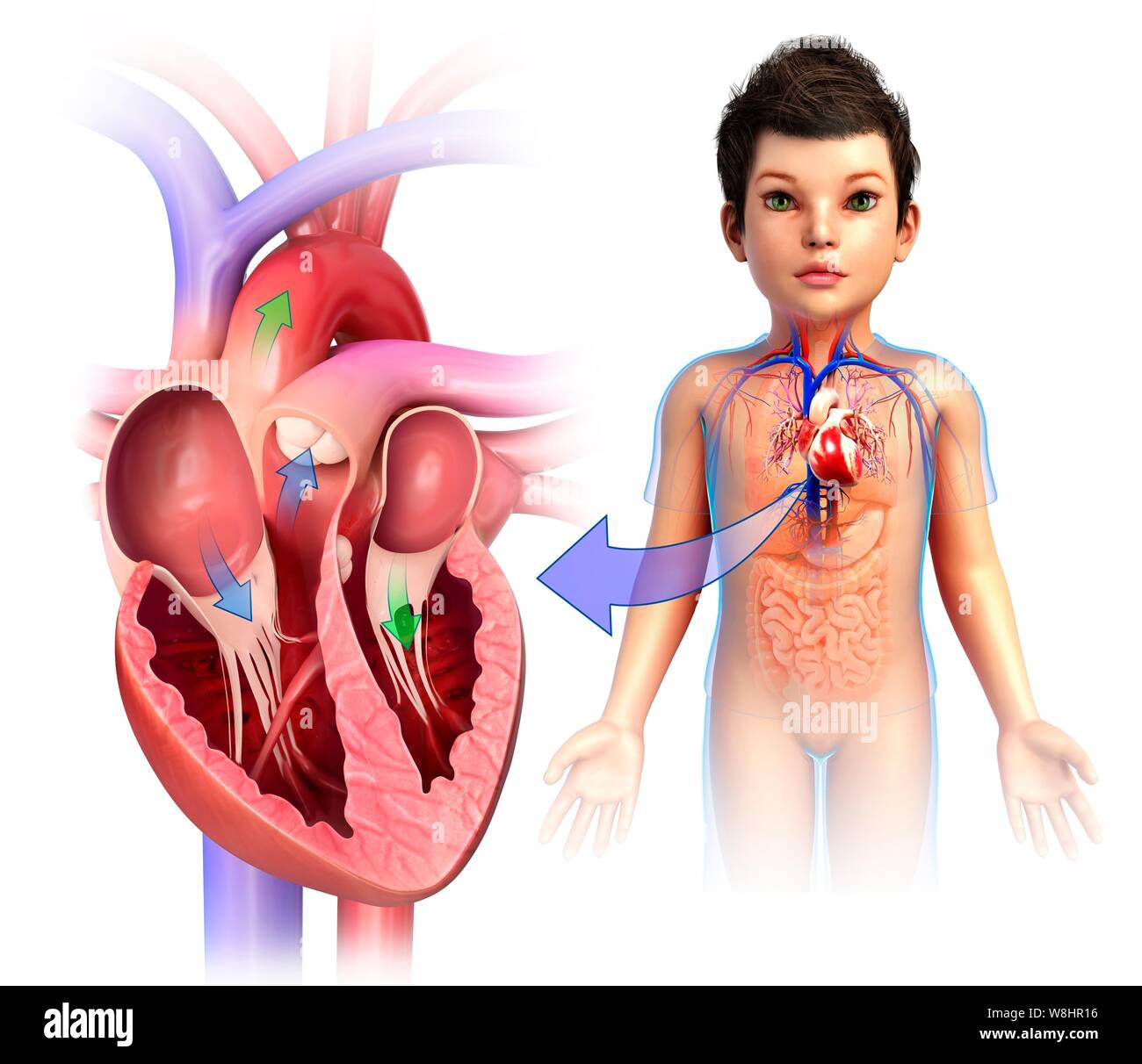 Illustration d'un cœur de l'enfant chambres. Banque D'Images