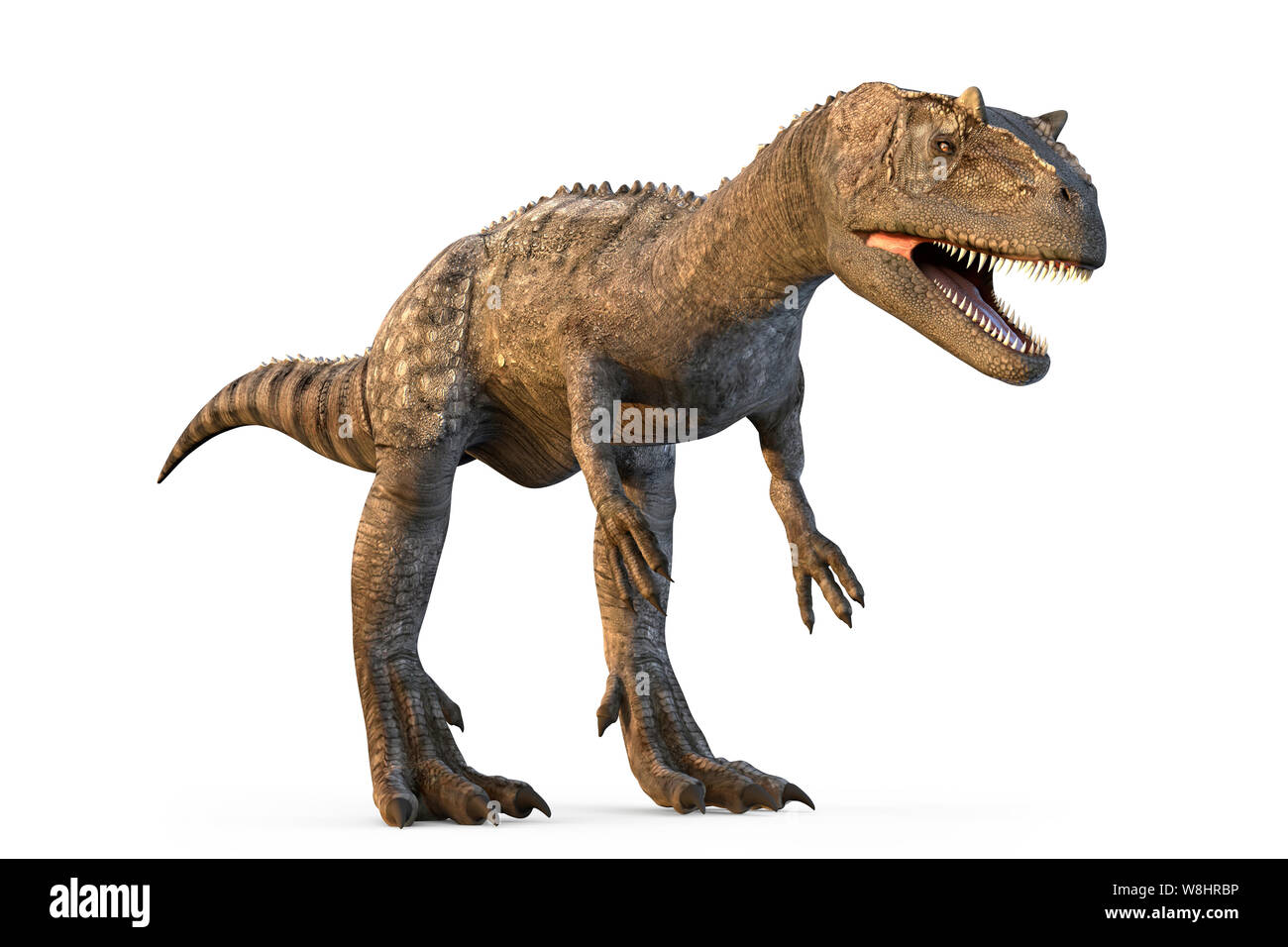 Dinosaure Allosaurus contre fond blanc, illustration. Allosaurs vécu 155-150 millions d'années durant le Jurassique tardif. Banque D'Images