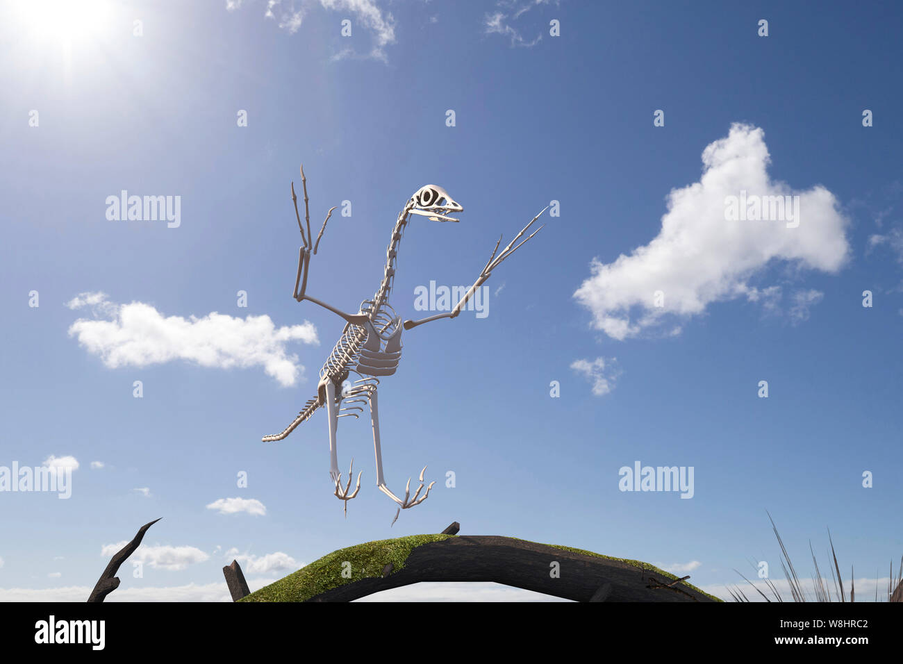 La structure du squelette de dinosaure archéoptéryx, illustration. Ces oiseaux comme les dinosaures ont vécu il y a environ 150 millions d'années durant le Jurassique tardif. Banque D'Images