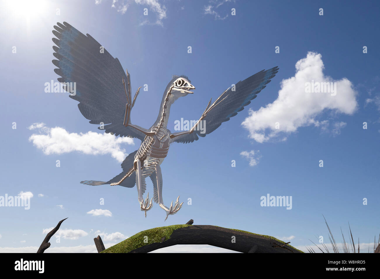 La structure du squelette de dinosaure archéoptéryx, illustration. Ces oiseaux comme les dinosaures ont vécu il y a environ 150 millions d'années durant le Jurassique tardif. Banque D'Images
