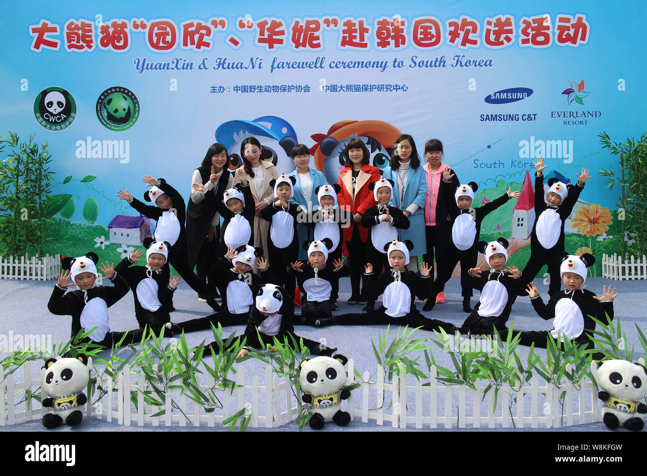 Les jeunes étudiants chinois vêtus de costumes panda effectuer au cours de la cérémonie d'adieu pour les pandas géants Yuan Xin Hua et ni à la base de l'Dujiangyan Banque D'Images