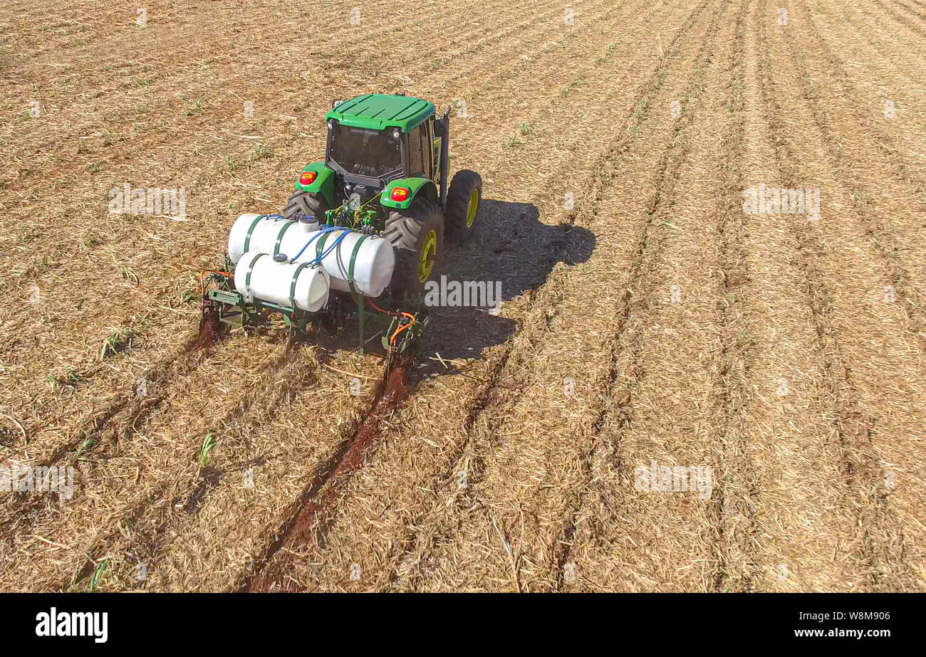 La plantation de canne à sucre par l'application d'engrais et d'insecticides avec tracteur Banque D'Images