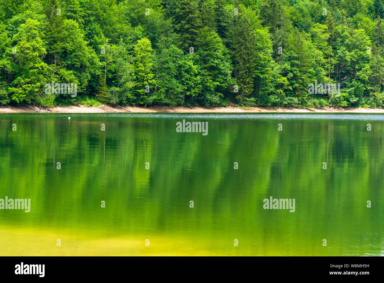 Lac Nussensee en Haute Autriche situé près de Bad Ischl dans le Salzkammergut. Banque D'Images