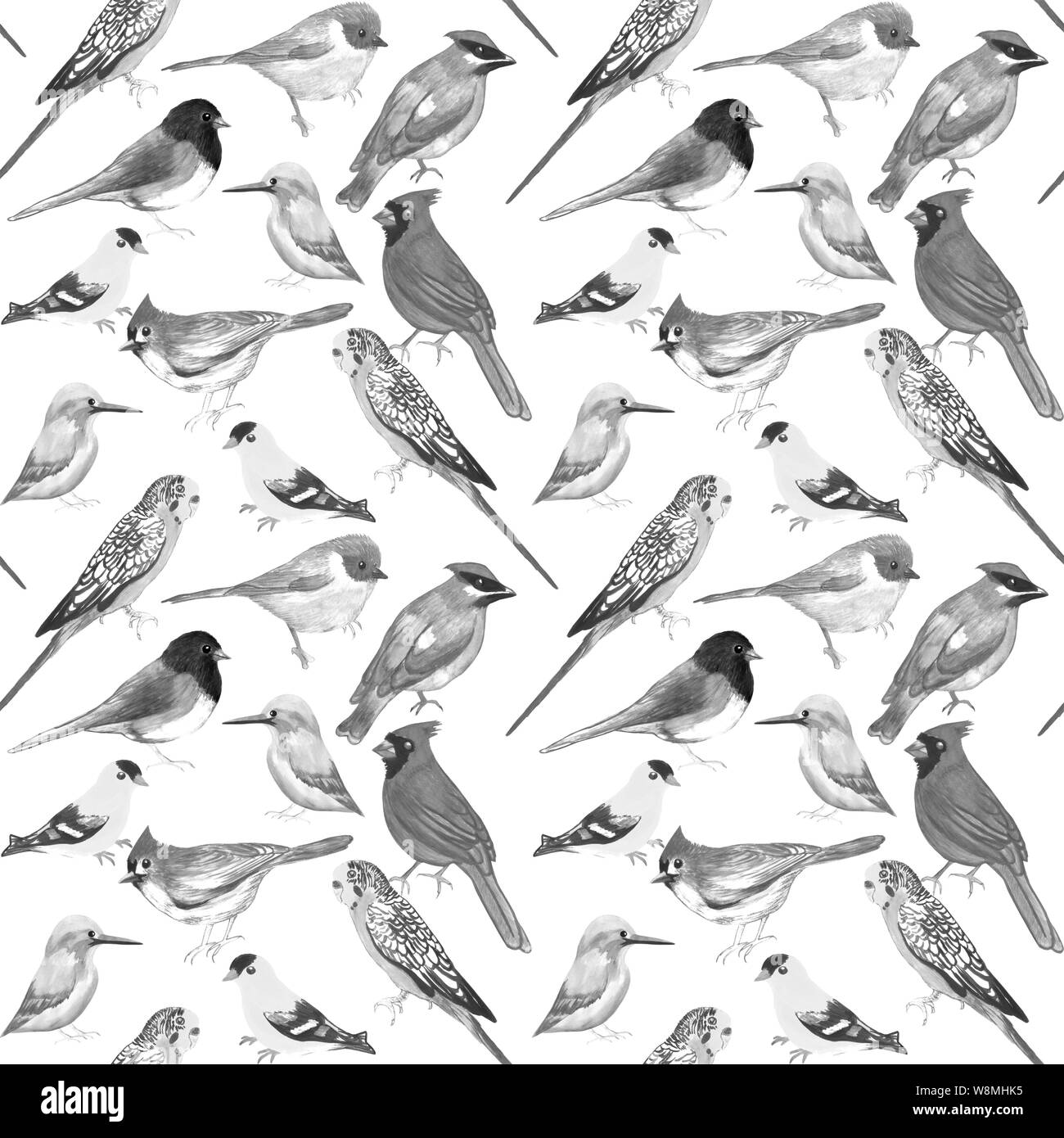 Oiseaux noir et blanc contre un fond blanc de l'oeuvre sans couture Banque D'Images