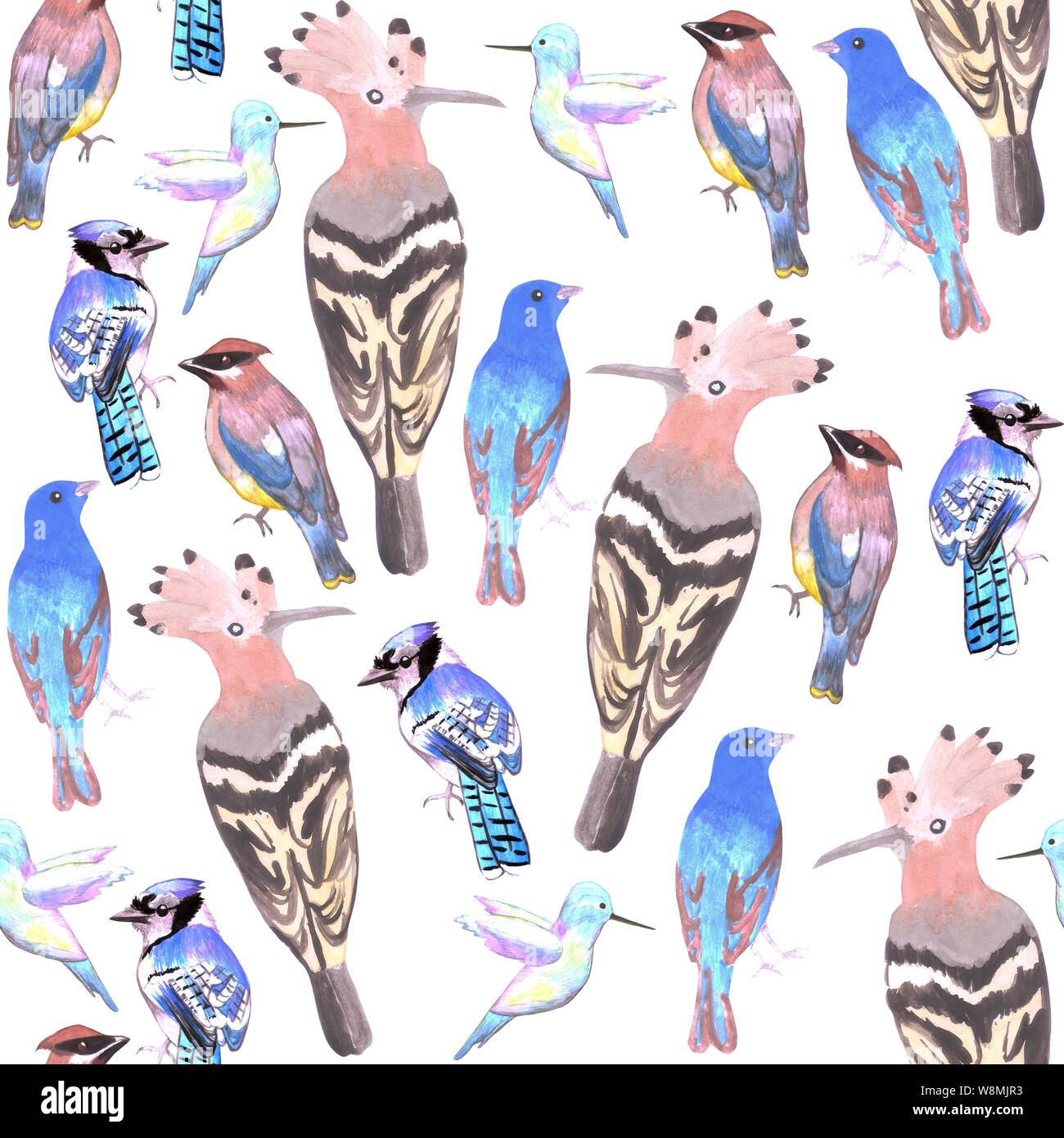Aquarelle oiseaux en couleurs d'une tétrade seamless background Banque D'Images