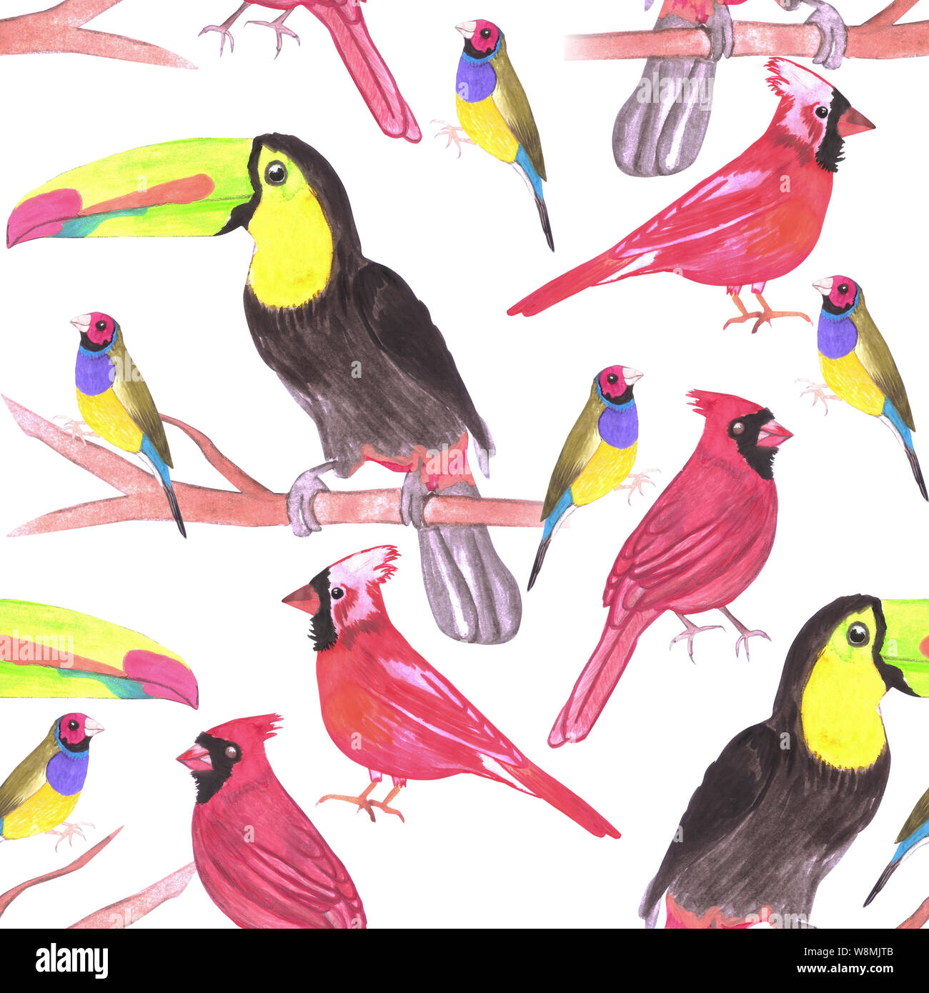 Aquarelle oiseaux en couleurs tetrad contexte aquarelle transparente-vert, jaune, rouge, bleu Banque D'Images