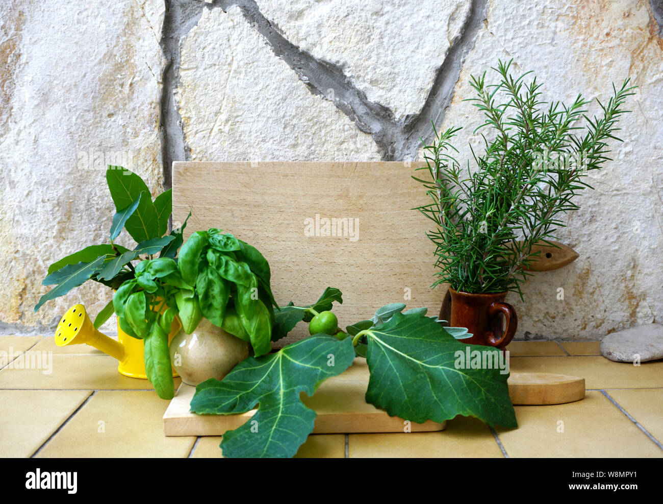 Les herbes aromatiques collection. Les épices méditerranéennes, romarin, basilic, feuilles de laurier et les figues sur un fond rustique en pierre et en bois avec une cuis Banque D'Images