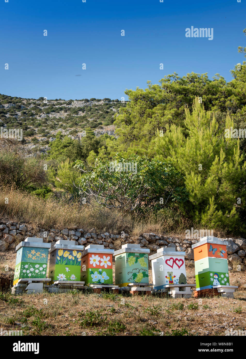 Ruches peintes de couleurs vives dans Murvica près de Bol sur l'île de Brač, Croatie Banque D'Images