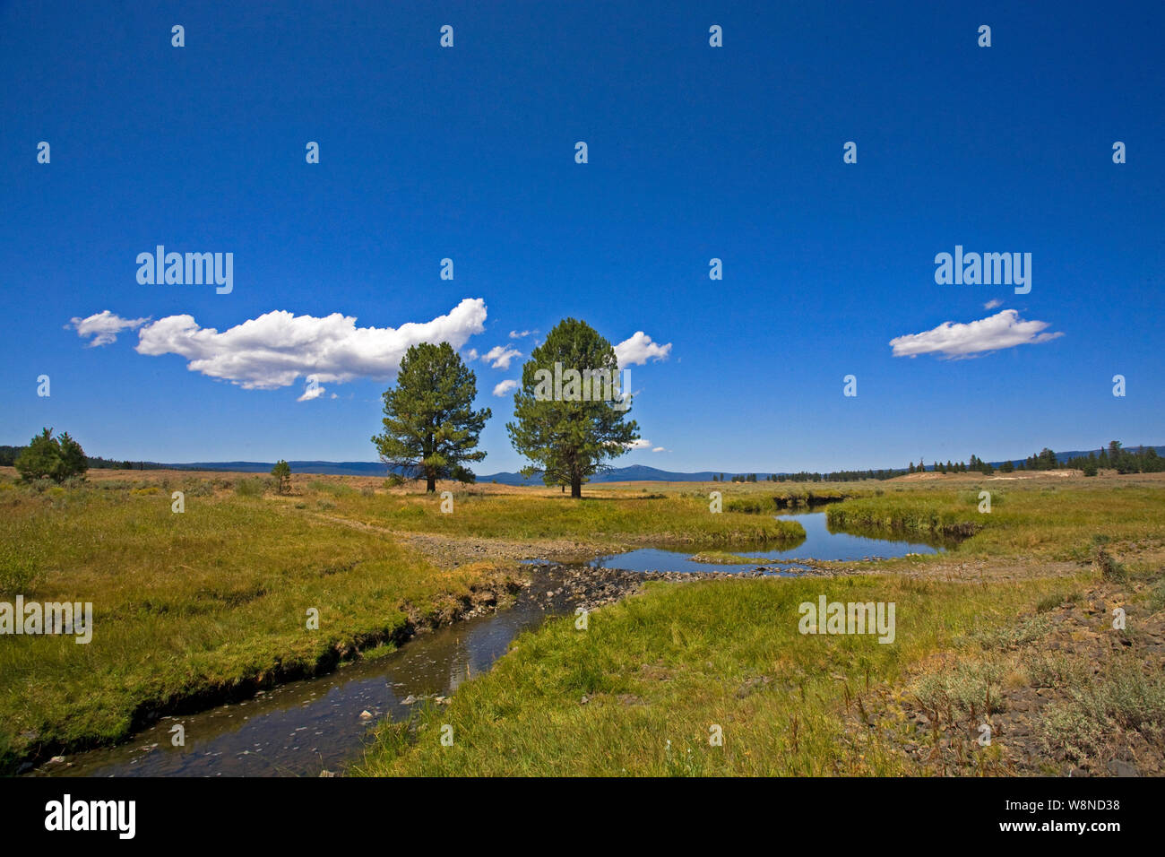L'embranchement nord de la rivière Crooked traverse Grande Prairie au sommet, une ancienne région volcanique sur le dessus de l'Ochoco montagnes dans le centre de l'Oregon. Banque D'Images