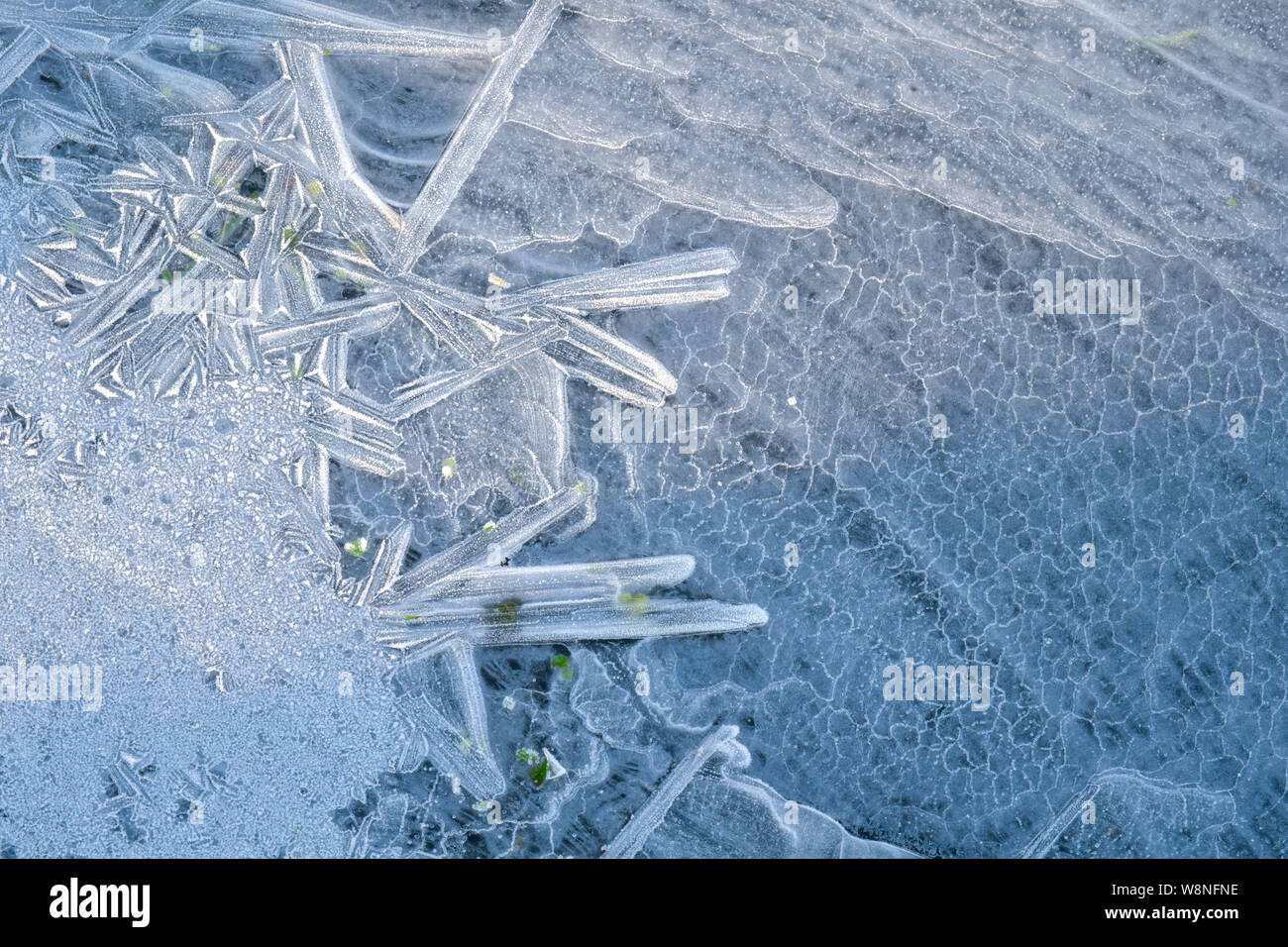 La lumière du soleil éclairant des cristaux de glace sur un étang gelé 1 Banque D'Images