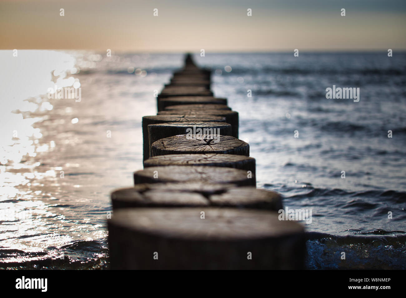 Groynes dans la mer Baltique. Ils servent de défense côtière. Magnifique coucher de soleil sur l'océan avec de vieux brise-vagues en bois. Banque D'Images