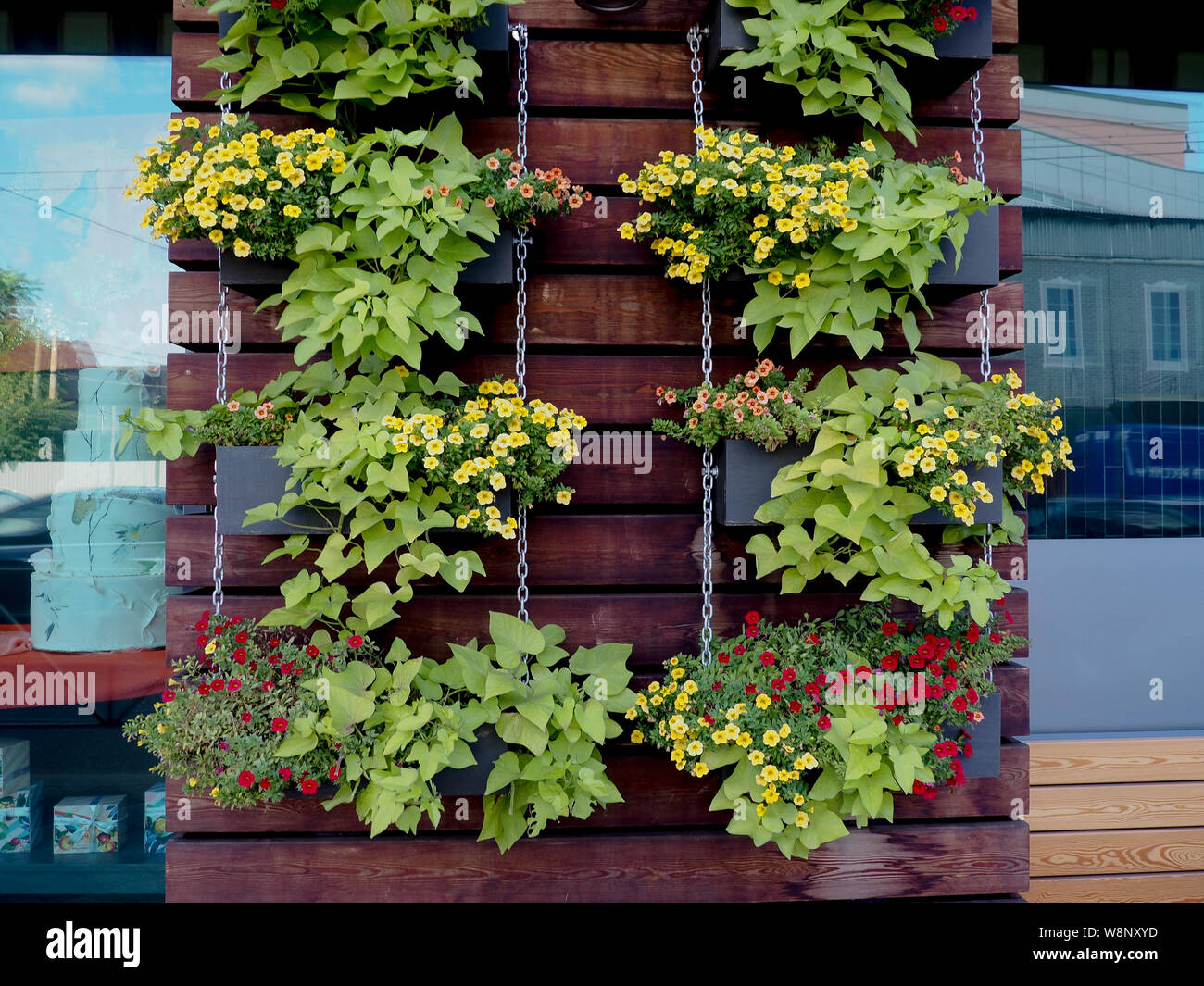 Jardin des plantes verticale accroché sur une palette en bois avec un mur de ciment à l'arrière. Banque D'Images