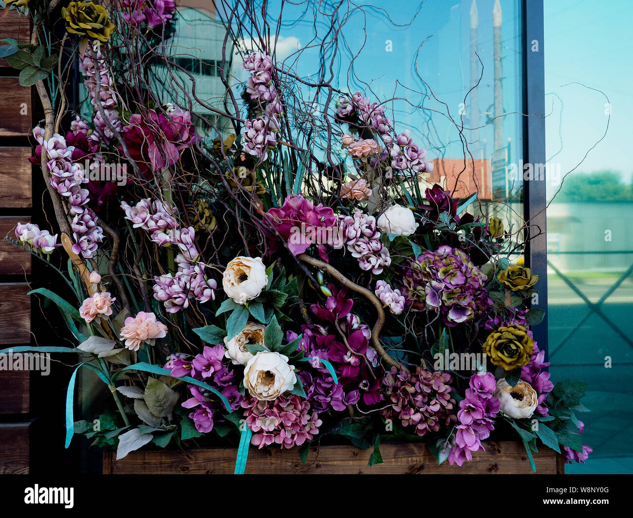 Jardin des plantes verticale accroché sur une palette en bois avec un mur de ciment à l'arrière. Banque D'Images